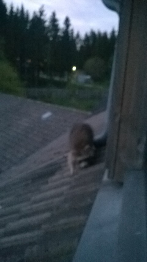 Windows Phone_20150518_005